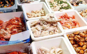 Gelopesca Pescheria pesce Surgelato Vneturina Terme