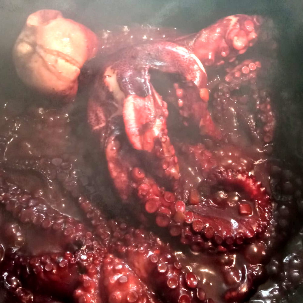 Polpo briaco Ricetta Gelopesca Pescheria Venturina