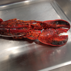 ASTICI 400 GR. CIRCA - € 29/KG