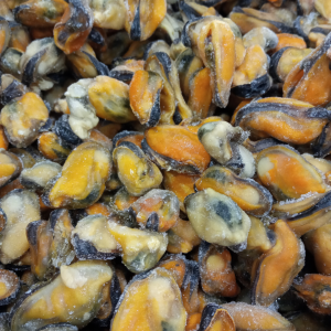 COZZE SGUSCIATE 200300 PZKG PZKG pescheria Venturina Terme