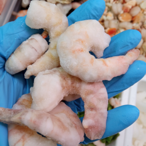 MAZZANCOLLE SGUSCIATE 4050 PZKG Gelopesca pescheria Venturina Terme