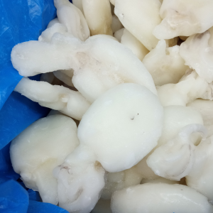 SEPPIE PULITE 1320 PZKG Gelopesca pescheria Venturina Terme